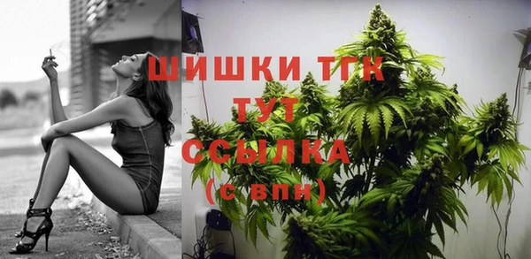 СК Володарск