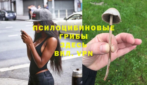 СК Володарск