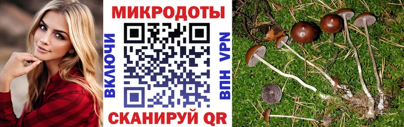 Галлюциногенные грибы GOLDEN TEACHER купить сайты даркнет как зайти Рузаевка