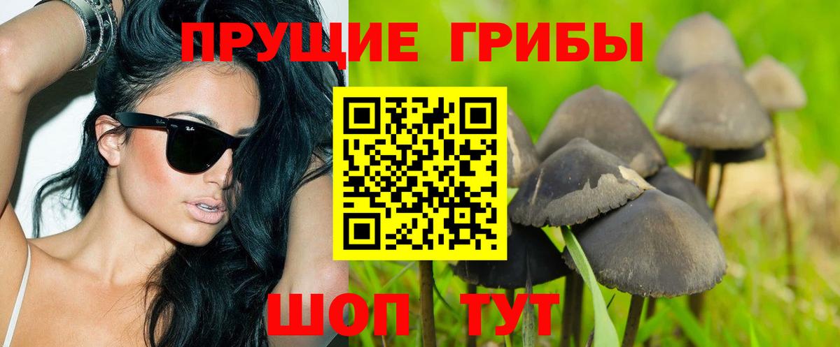 Рузаевка  Галлюциногенные грибы Cubensis  Вход с VPN 