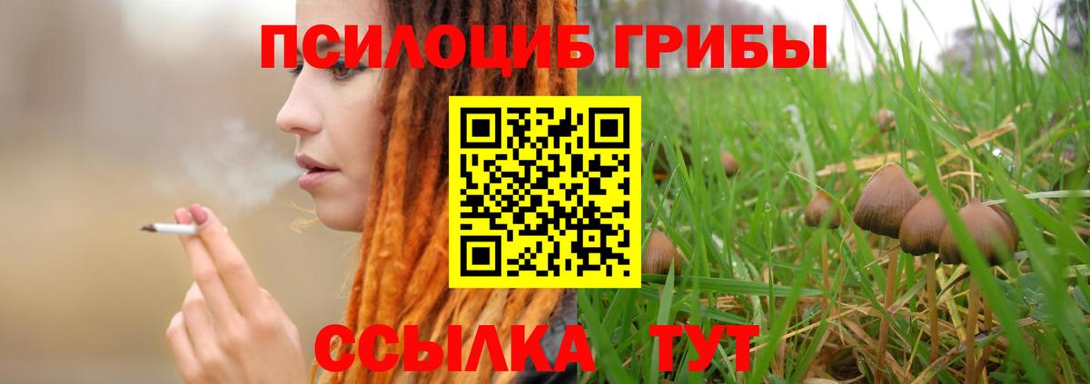 Псилоцибиновые грибы мухоморы Рузаевка